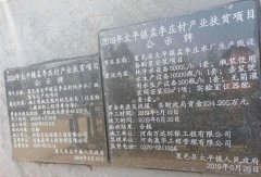 夏邑縣太平鎮(zhèn)孟李莊村純凈水廠